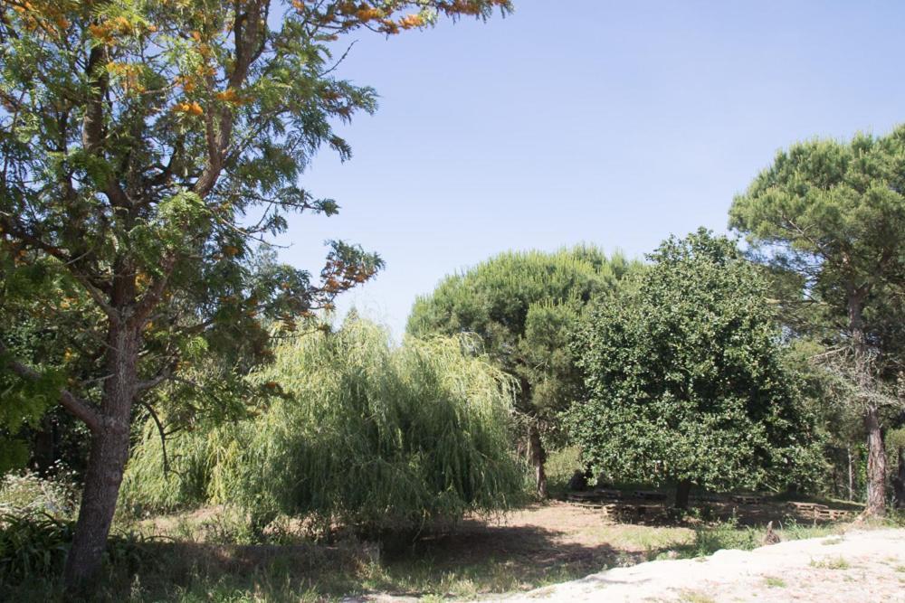 Quinta Da Galeana Dreaming Bed & Breakfast Луриня Екстериор снимка