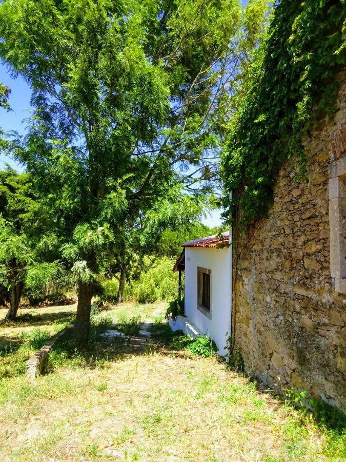Quinta Da Galeana Dreaming Bed & Breakfast Луриня Екстериор снимка